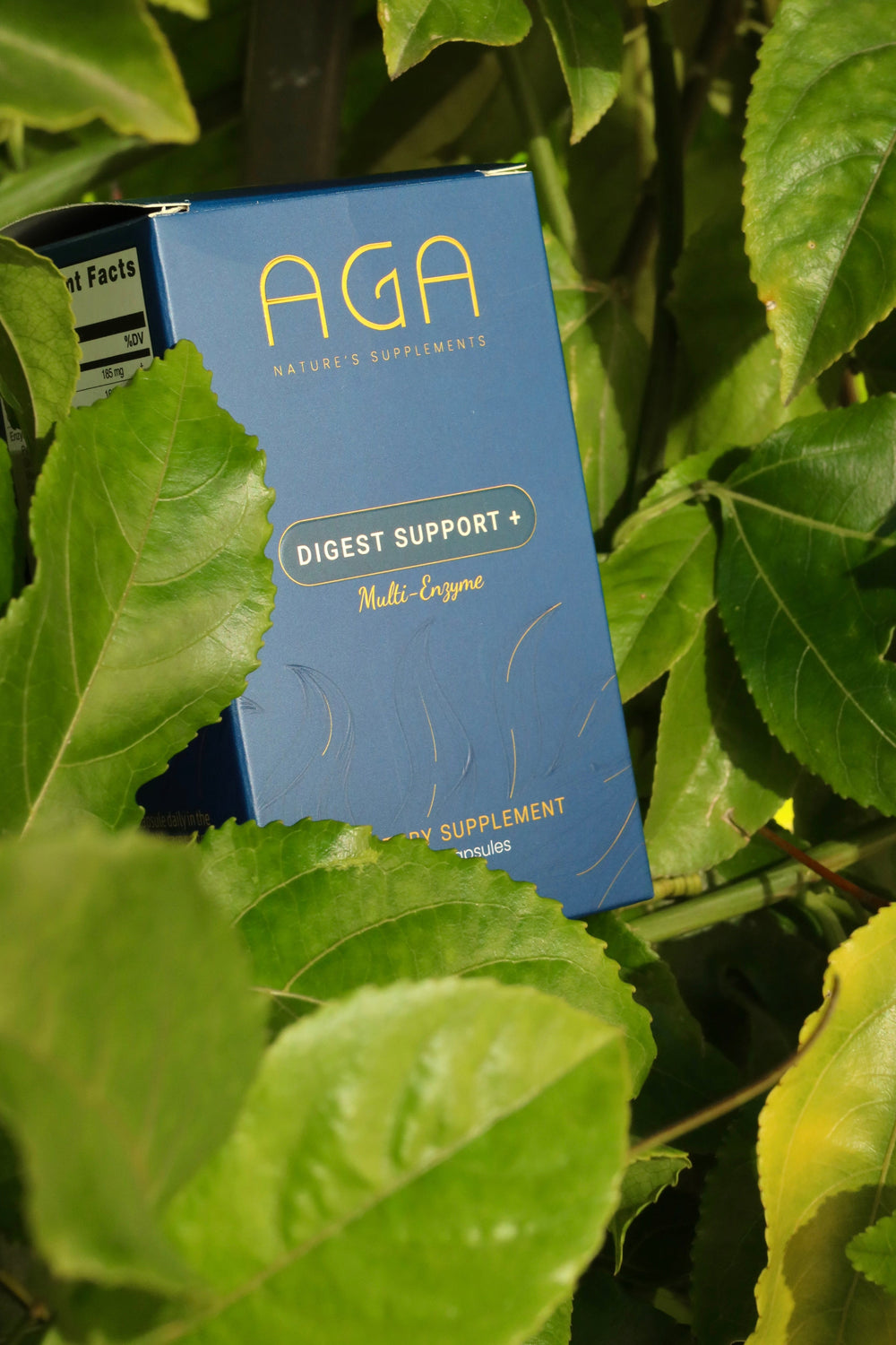 Digest Support + Multi Enzymes